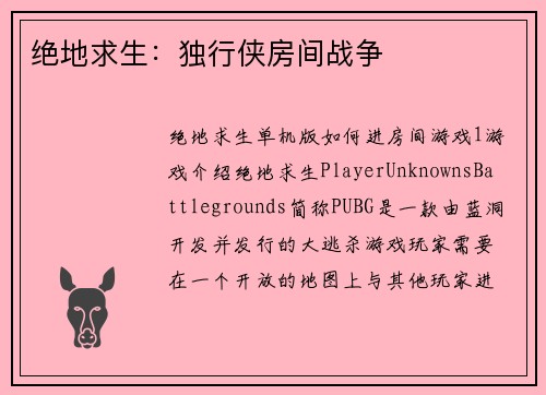 绝地求生：独行侠房间战争